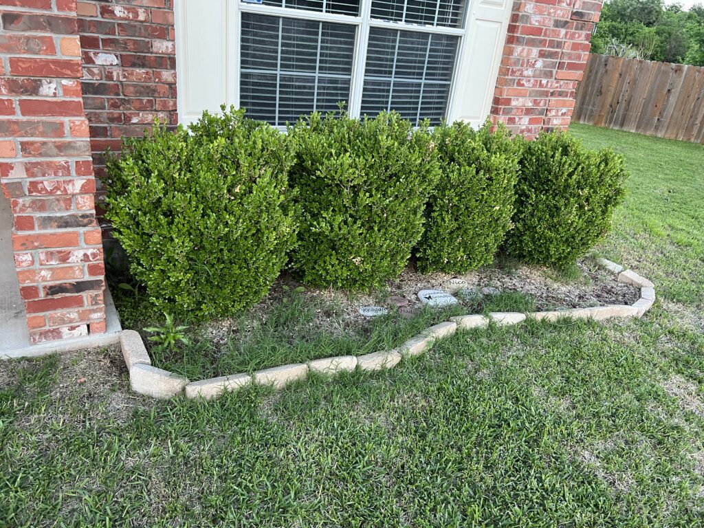 Fix Lawns & Landscaping Need for Shrub & Bush Pruning & Trimming in Temple Texas