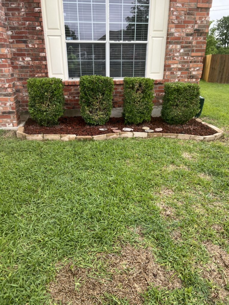 Fix Lawns & Landscaping Shrub & Bush Pruning & Trimming - Central Texas Temple Belton