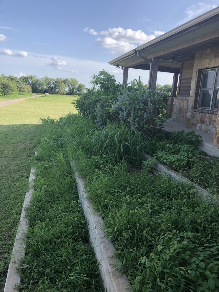 Need a landscaper - Temple, Belton, Harker Heights Fix Lawns & Landscaping